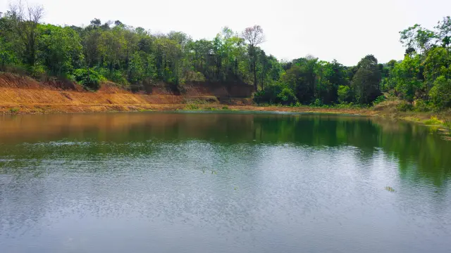 Rain by the Farm